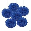 Best reviews of 😍 Hanging Tissue Paper Pom-Pom Decorations - 6 Pc. 🧨